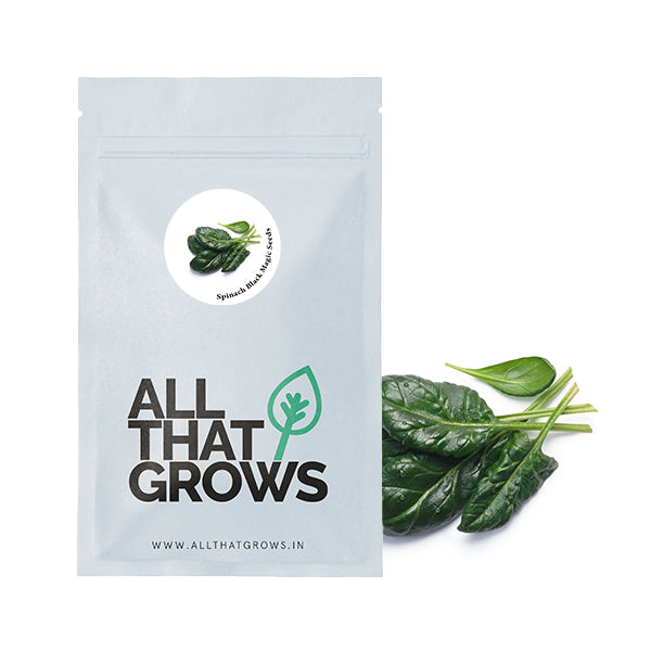 Spinach Black Magic Seeds