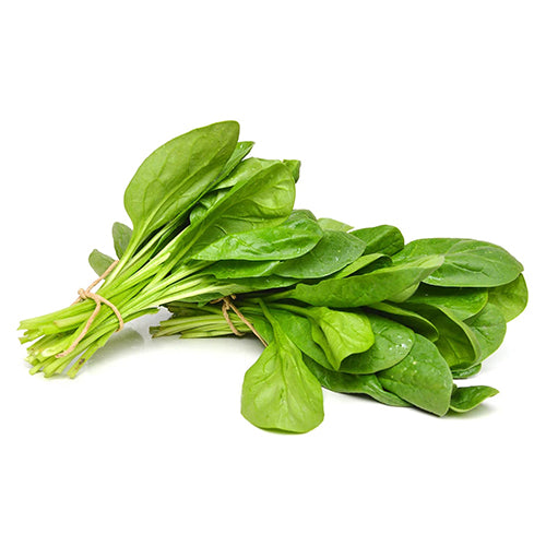 Spinach Seeds-1