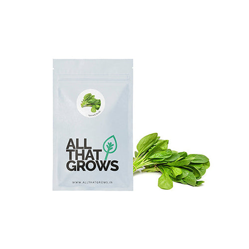 Spinach Seeds-2