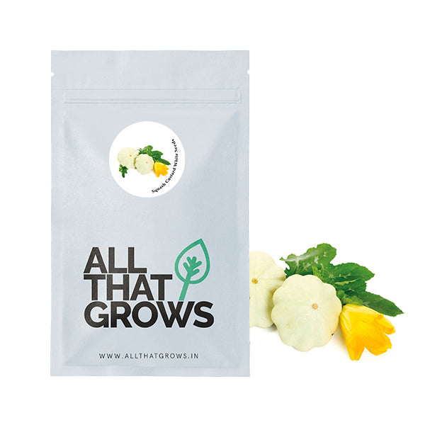Squash Custard White Seeds