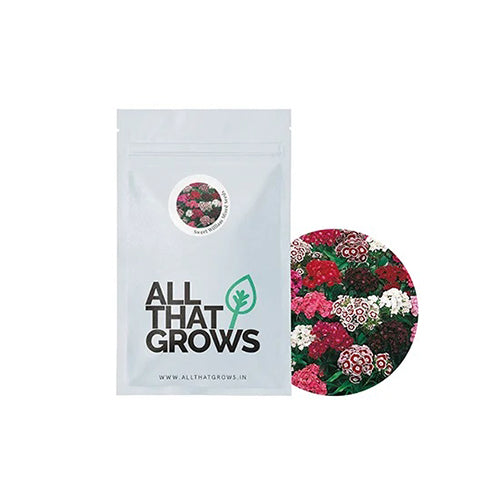 Sweet William Mixed Seeds-2