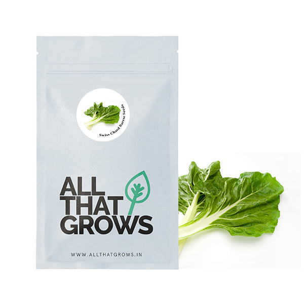 Swiss Chard Barese Seeds