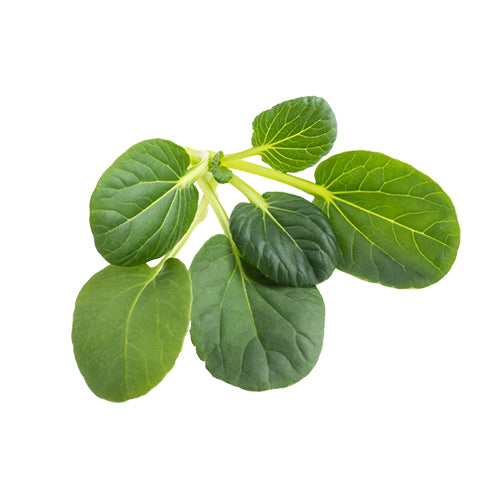 Tatsoi Green Seeds-1