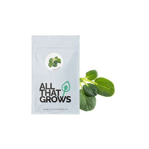 Tatsoi Green Seeds-2