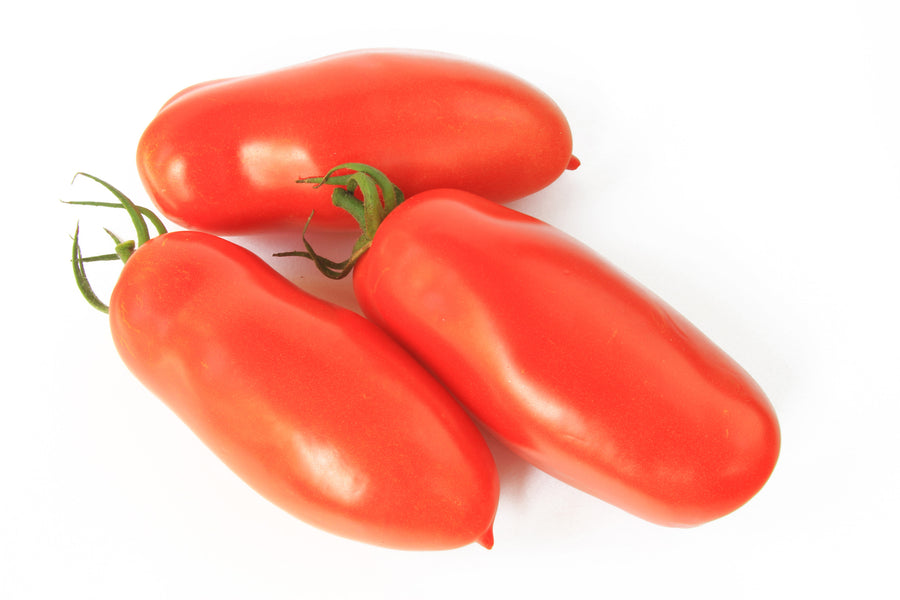 Tomato Piramide Seeds