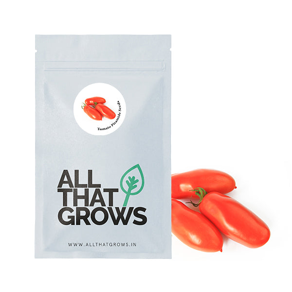 Tomato Piramide Seeds