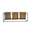 TriNoir GoldNest Tabletop Trio