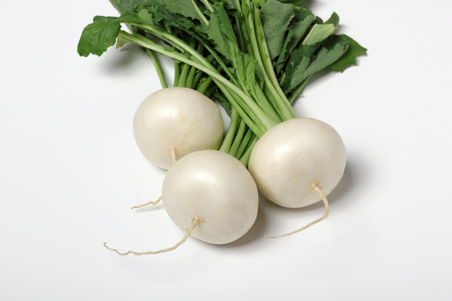 Turnip Snowball Seeds