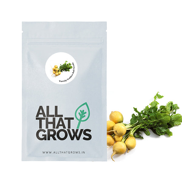 Turnip Golden Ball Seeds