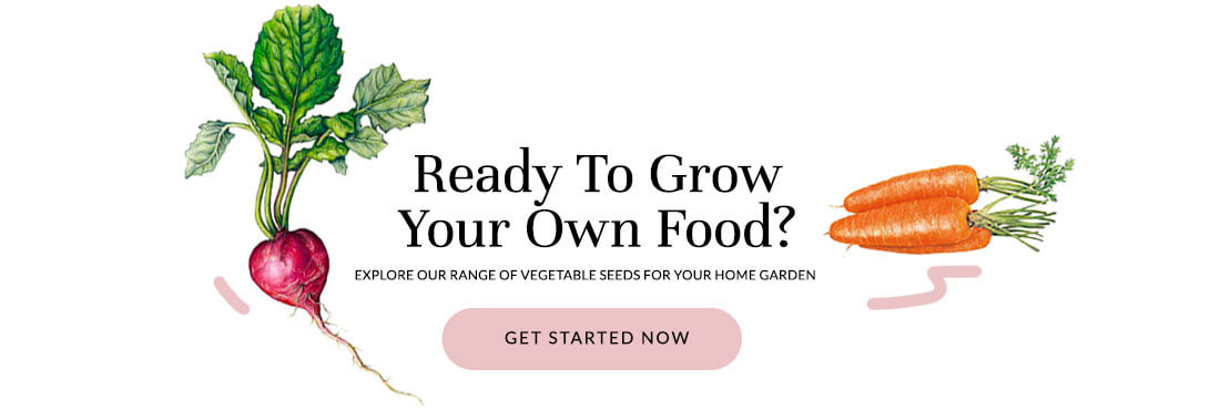 essay on kitchen garden