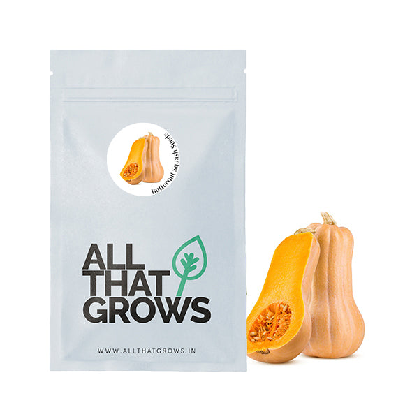 Butternut Squash Seeds