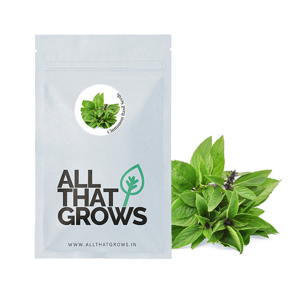 Cinnamon Basil Seeds