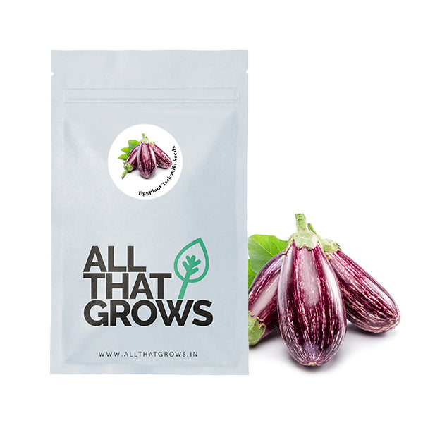Eggplant Tsakoniki Seeds