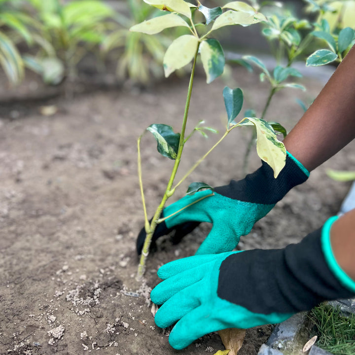 Leafclutch Gardening Glove Pair
