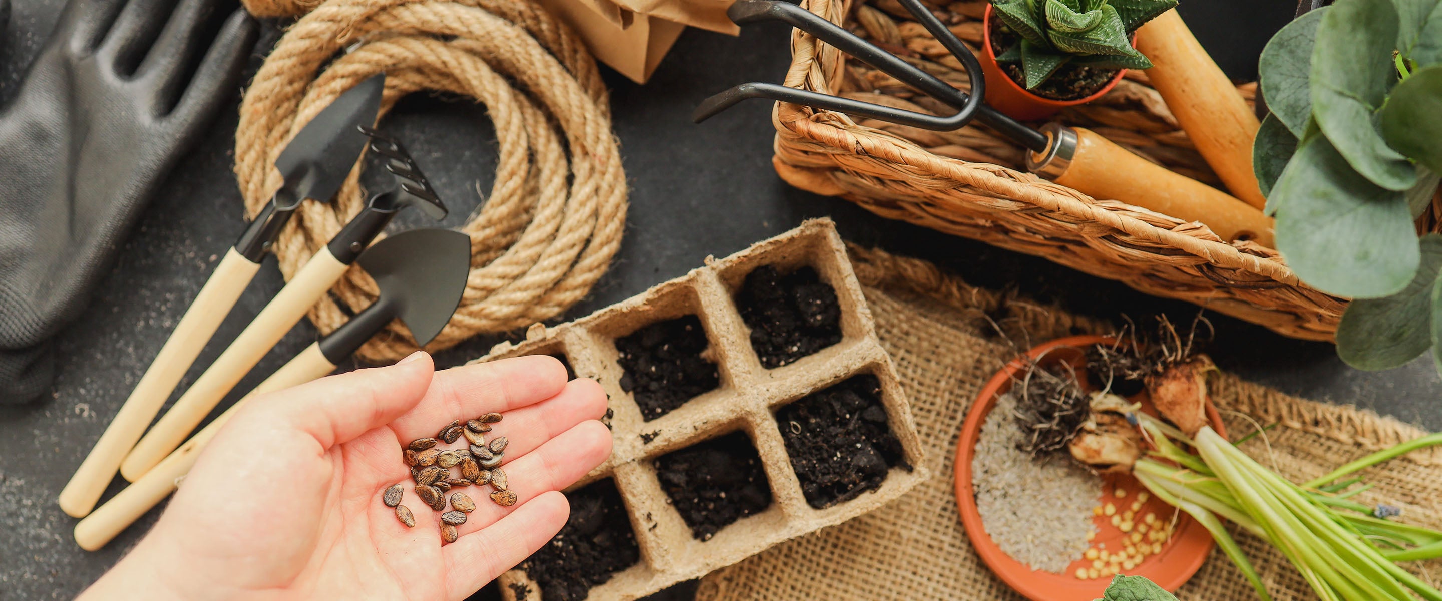 Fresh home-grown harvest at AllThatGrows
