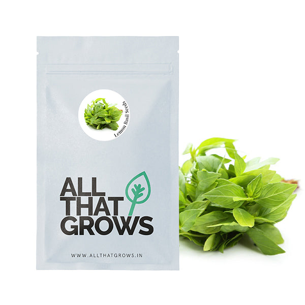 Lemon Basil Seeds