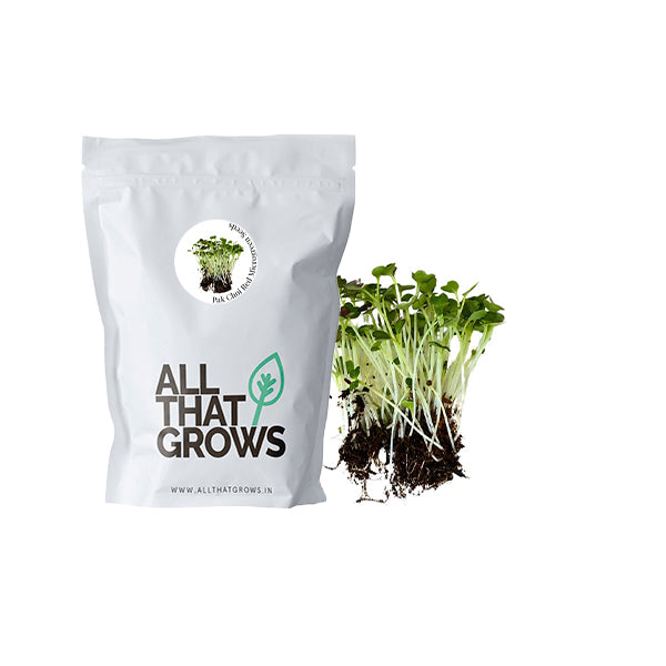 Pak Choi Red Microgreen Seeds
