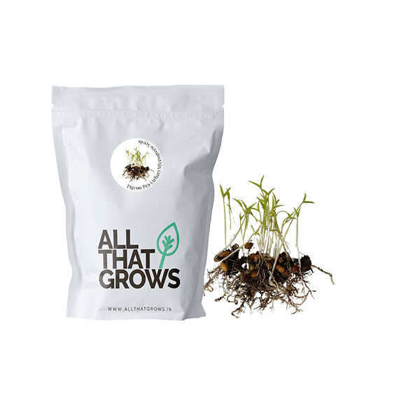 Pigeon Pea (Arhar) Microgreen Seeds