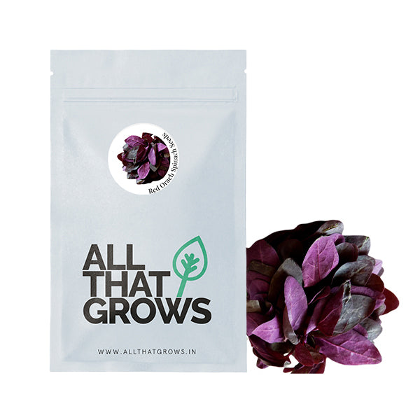 Red Orach Spinach Seeds