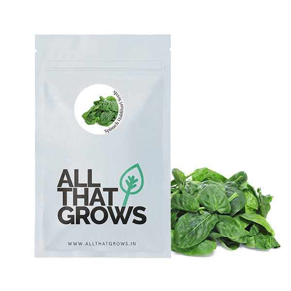 Spinach Haldibari Seeds
