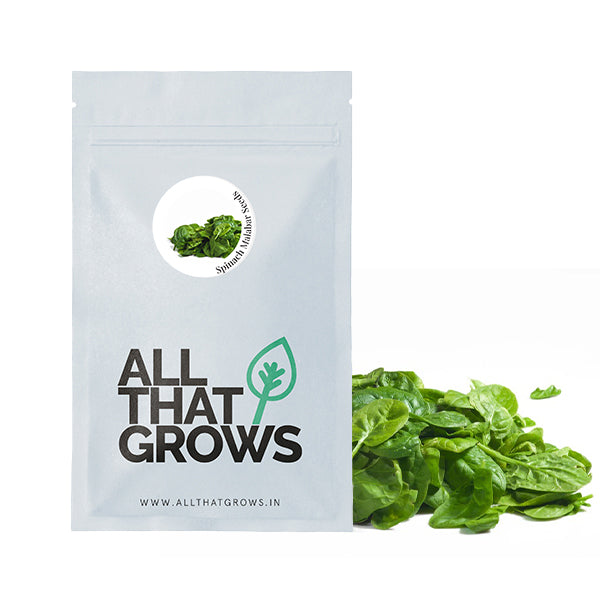 Spinach Malabar Seeds
