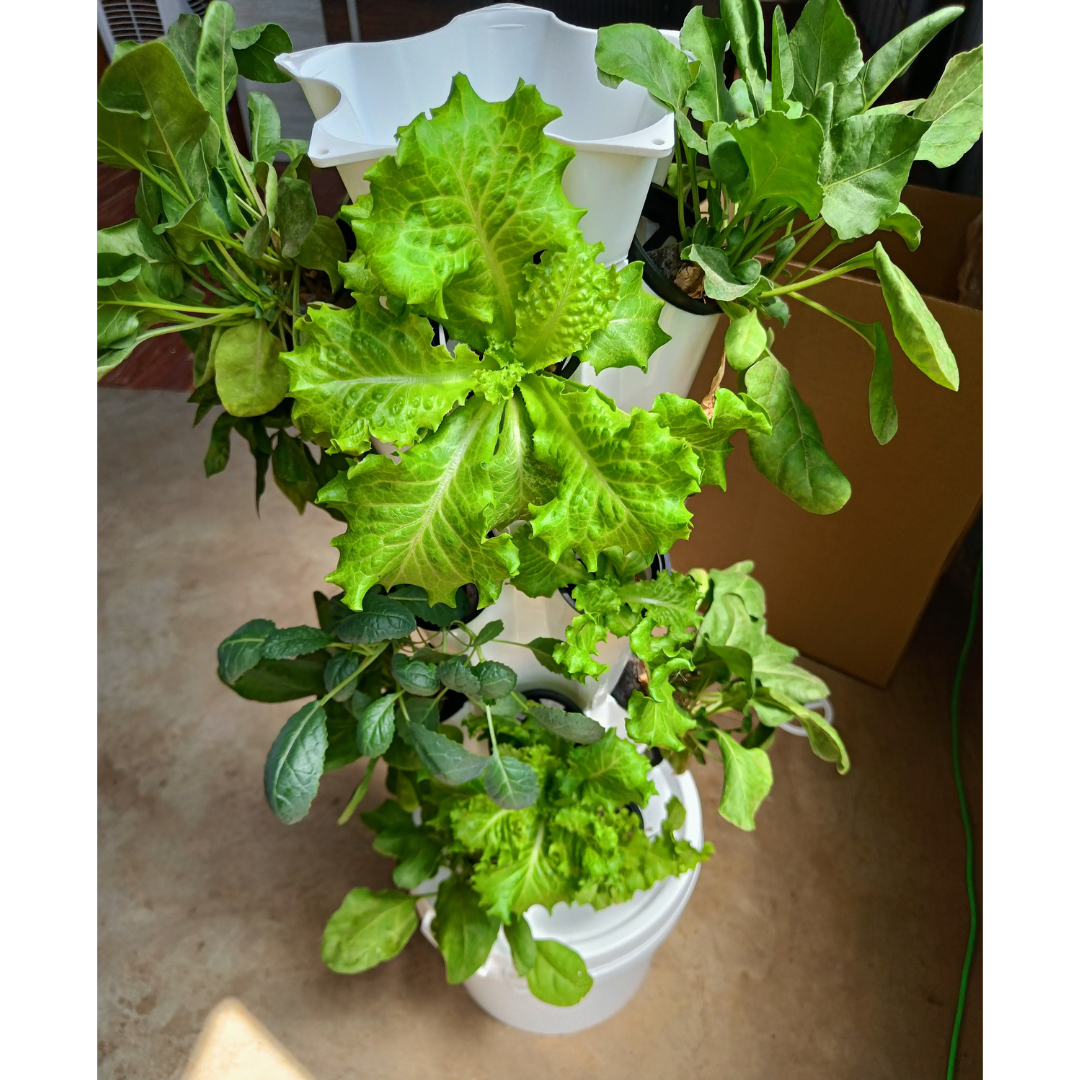 20 Planter Nova Plant Tower
