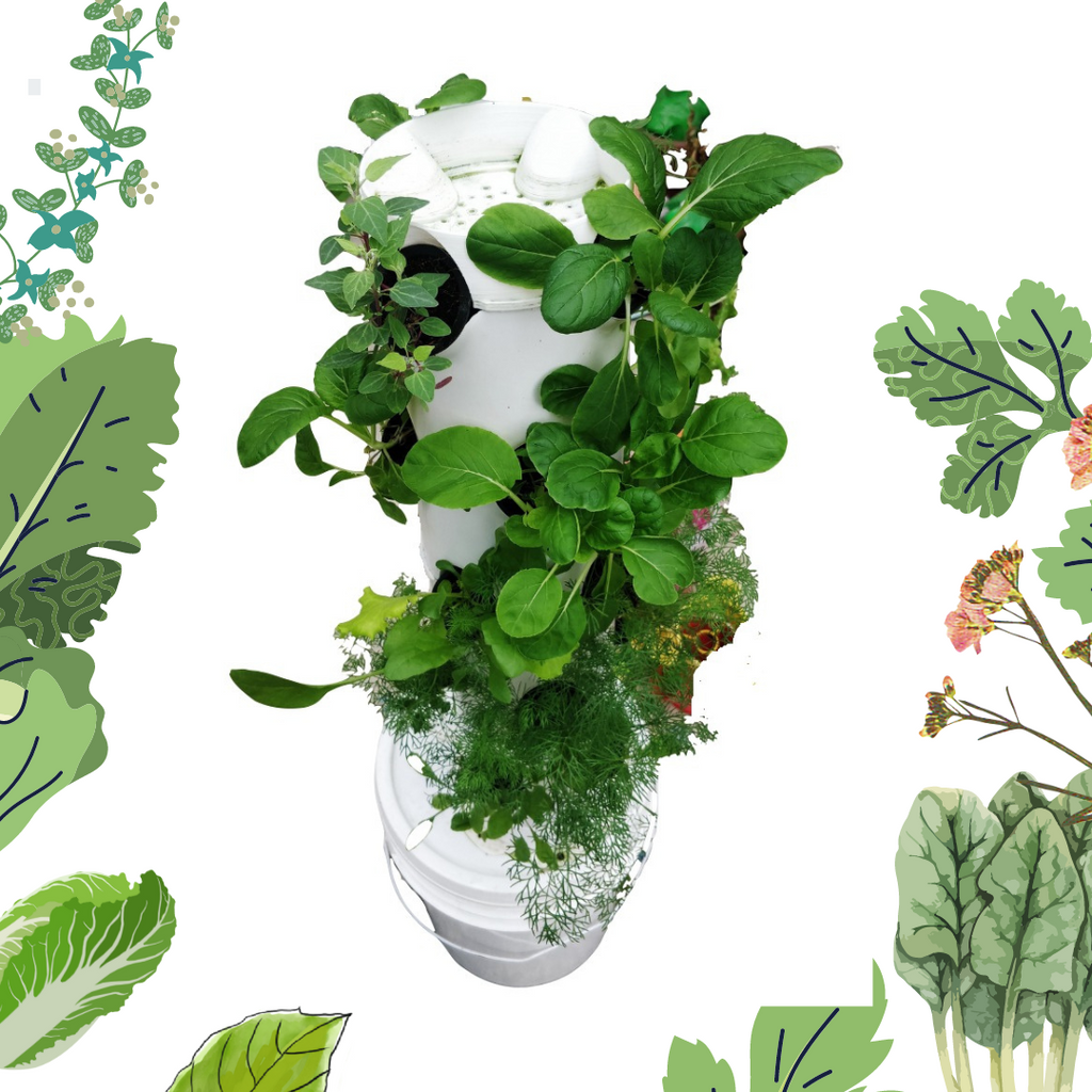 Aeroponics Collection