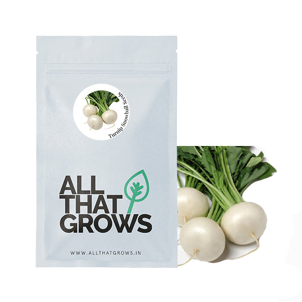 Turnip Snowball Seeds