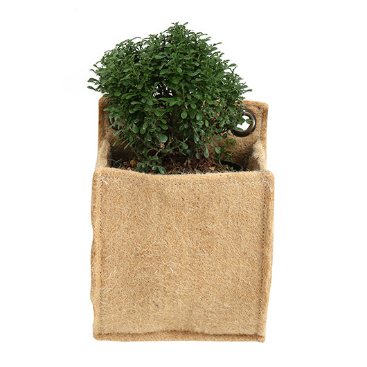 Jute Wall Planter Collection