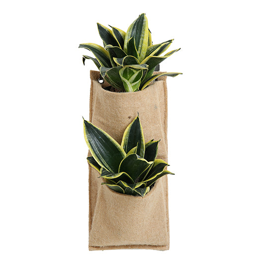 Cherrystub - 2 Pocket Jute Wall Planter (Vertical)