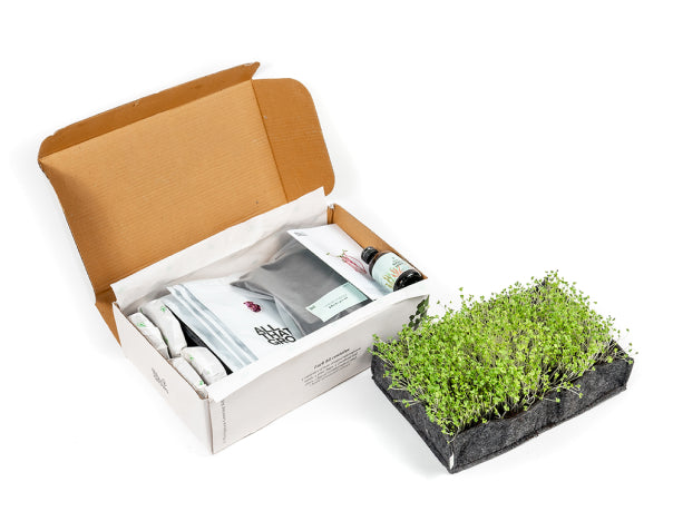 Complete Microgreen Growing Kit