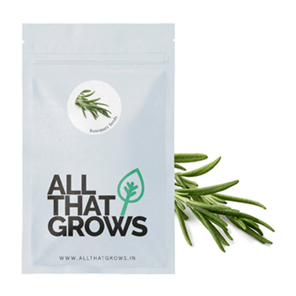 Rosemary Seeds