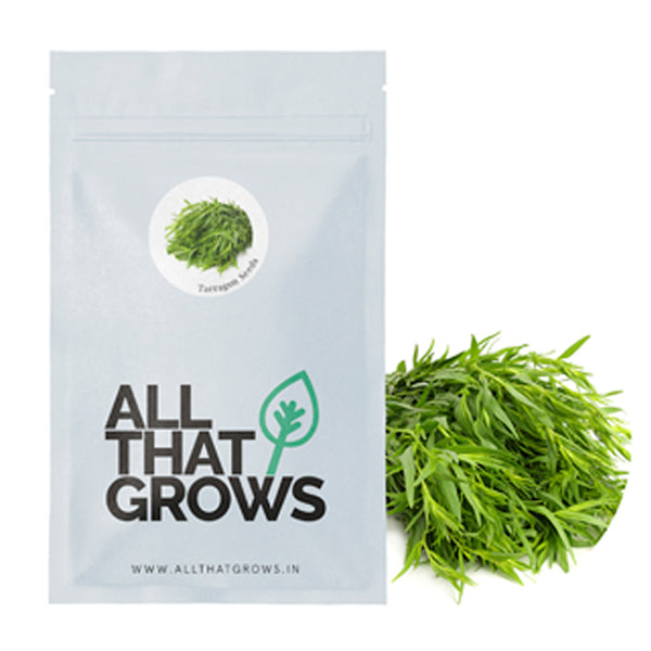 Tarragon Seeds
