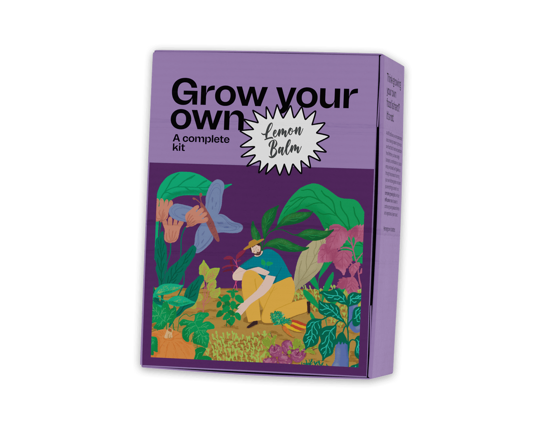Lemon balm growing kit