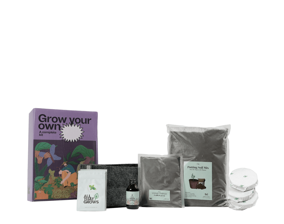 Arugula Growing Kit