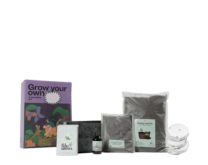 Lemon Balm Growing Kit
