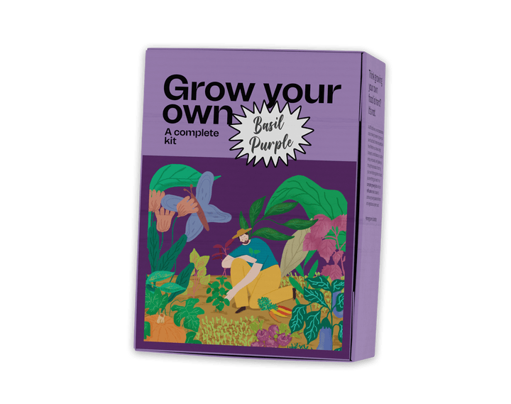 basil purple growing kit