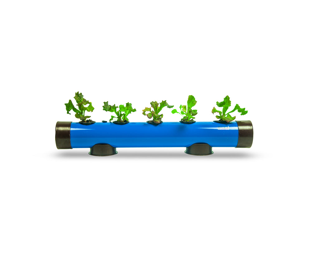 Hydroponics