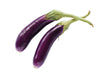 Brinjal Purple Long Seeds