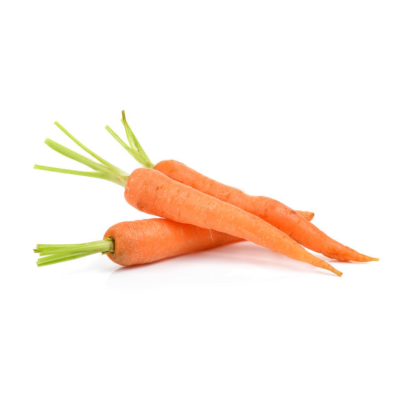 Carrot Orange Seeds
