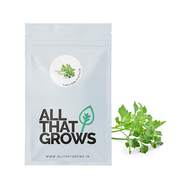 Celery Baby Leaf Seeds