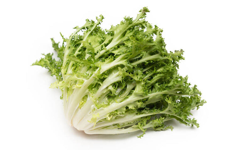 Curly Endive Green Seeds