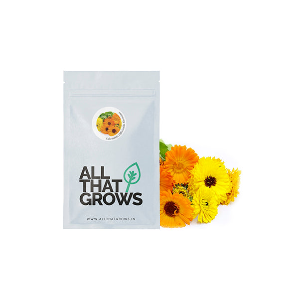 Calendula Officinalis Blossoms