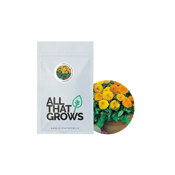 Calendula Officinalis Double Mixed Seeds
