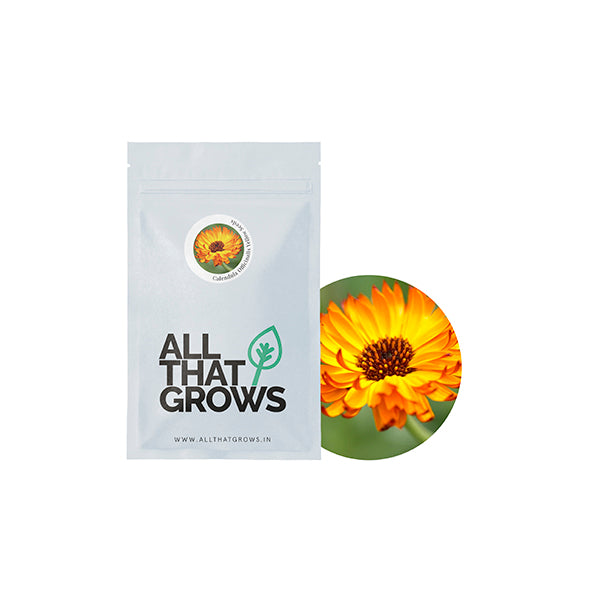 Calendula Officinalis Yellow seeds