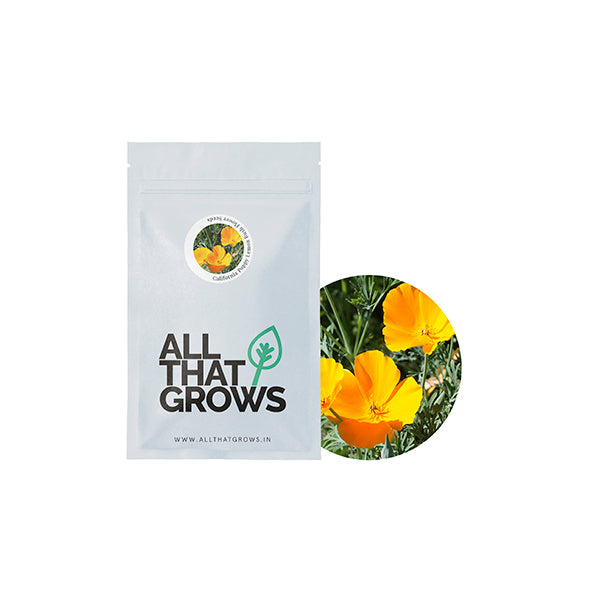 California Poppy Lemon Bush Flower Seeds