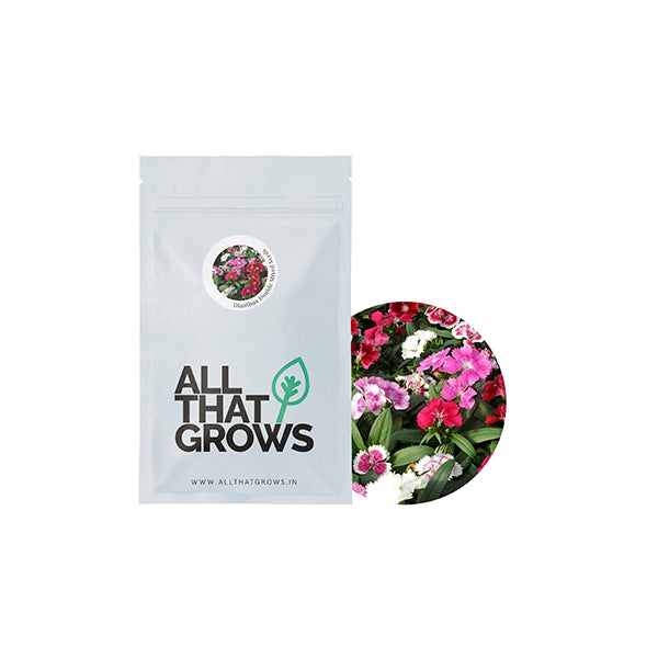 Dianthus Double Mixed Seeds