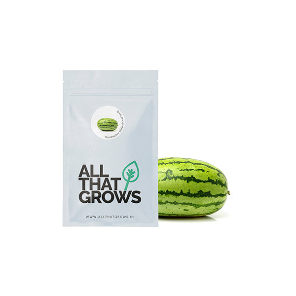 Watermelon Striped Oval Seeds