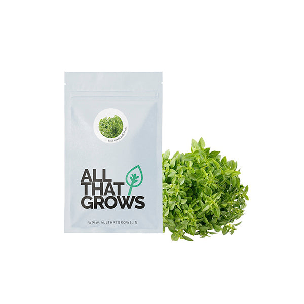 Basil Greek Ball Seeds