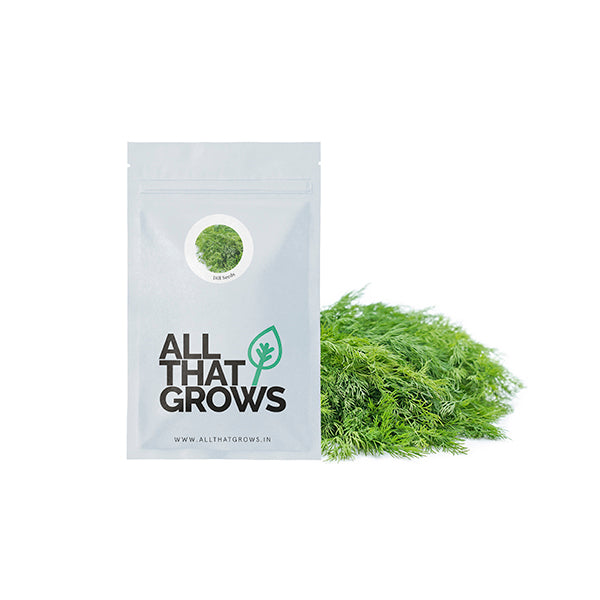 Dill Seeds
